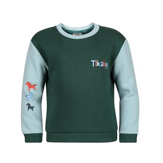 Shires Tikaboo Sweatshirt (Green Horse)