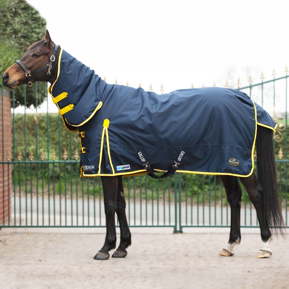 Gallop Trojan 200 DURAPROOF Combo Turnout Rug - 200g (Navy/Yellow)
