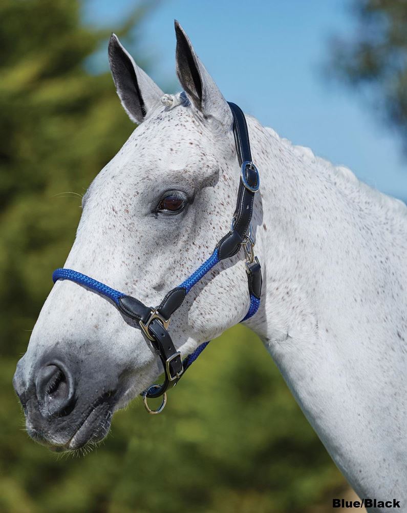 Kincade Leather Rope Headcollar
