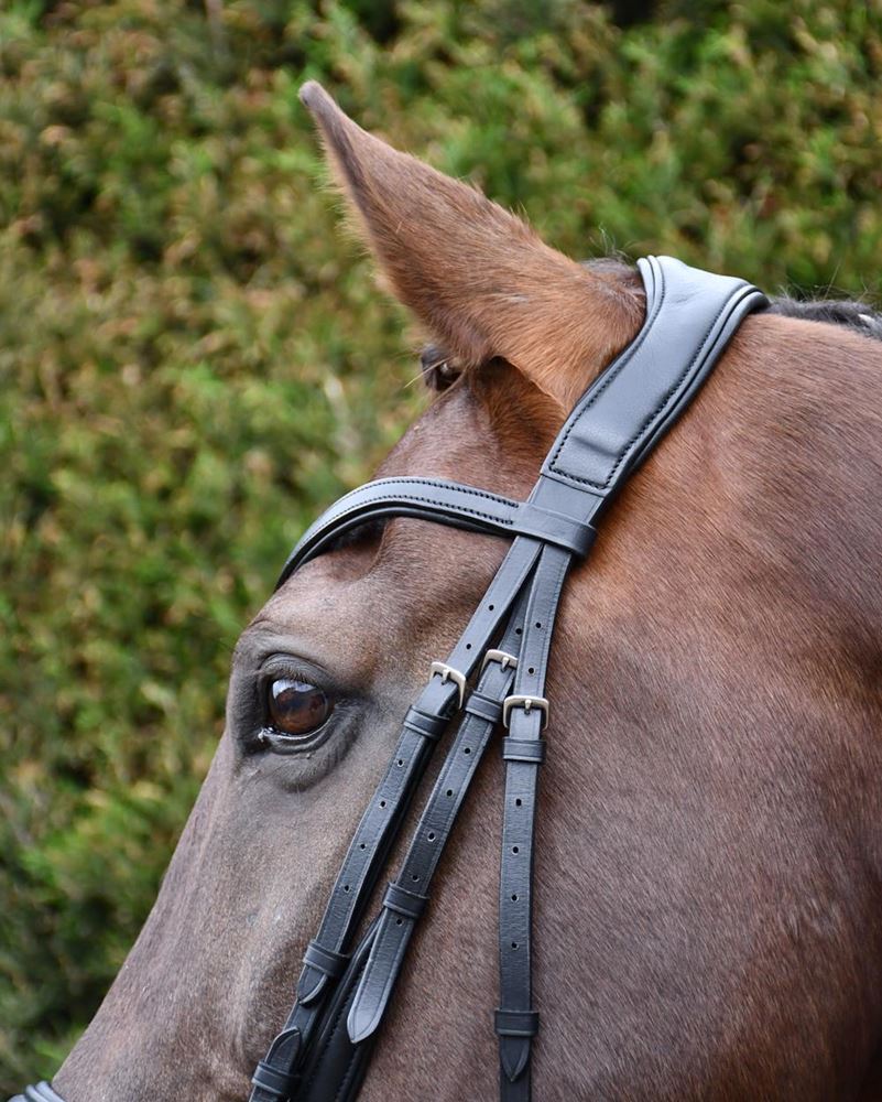 Rhinegold Softee Padded Leather Pro-Anatomical Bridle