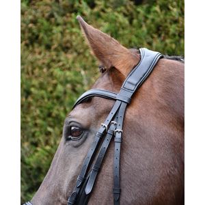 Rhinegold Softee Padded Leather Pro-Anatomical Bridle