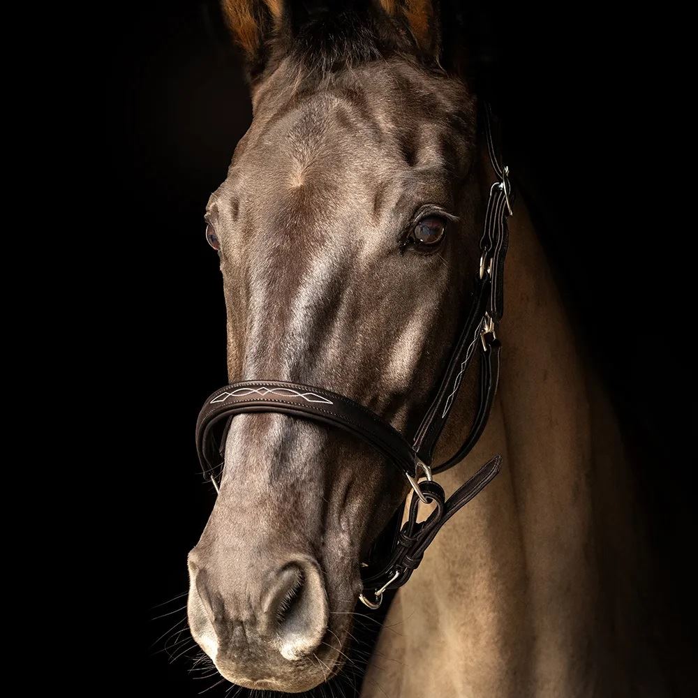 ProPresicce Softy Leather Head Collar by Hy Equestrian (Brown)