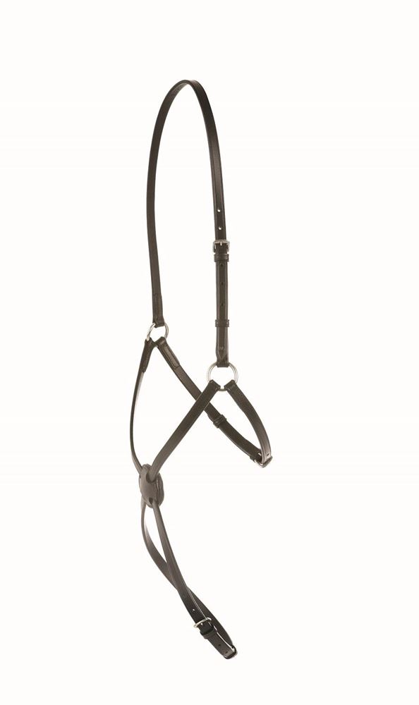 Kincade Grackle Noseband 