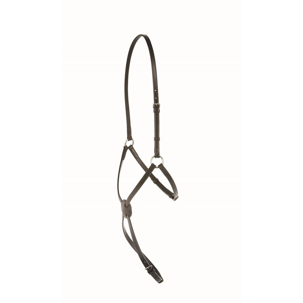 Kincade Grackle Noseband 