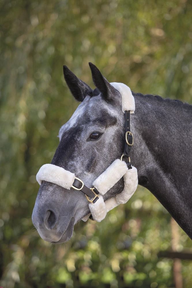 Shires Performance SupaFleece Halter Fleeces (6 Piece)