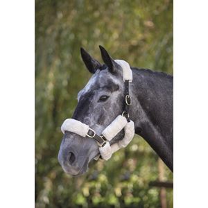 Shires Performance SupaFleece Halter Fleeces (6 Piece)