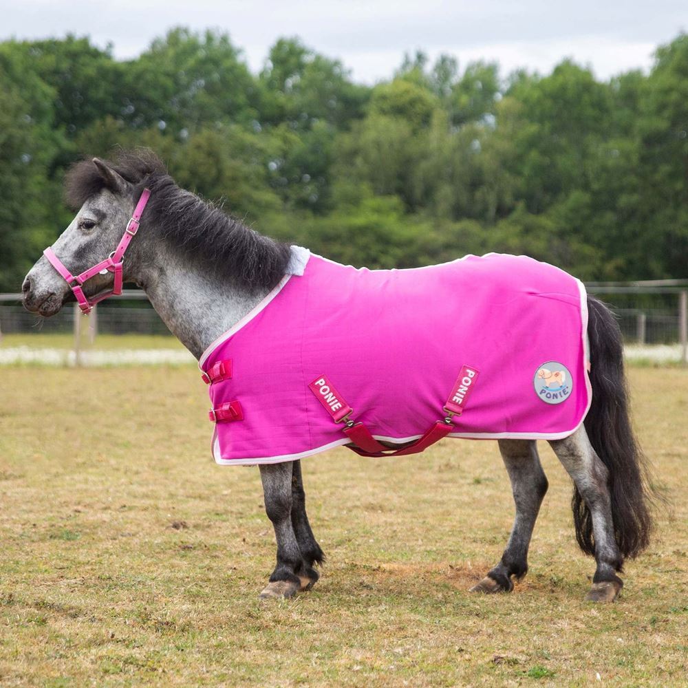 Gallop Ponie Pink Jersey Cooler Rug