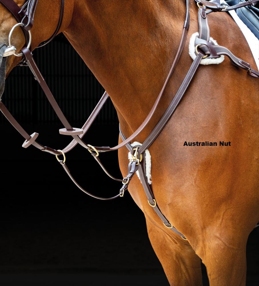 Shires Salisbury 5 Point Breastplate