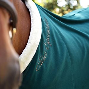 Shires Deluxe Fleece Rug (Green)