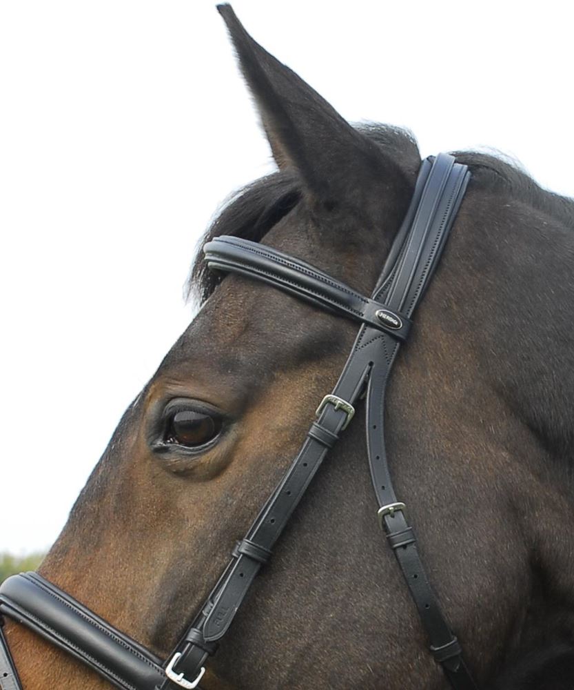 Heritage Saddlery English Leather Comfort Bridle with Flash Noseband