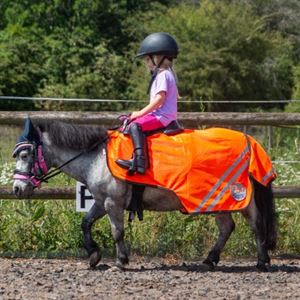 Ponie Retro Reflective Mesh Exercise Sheet