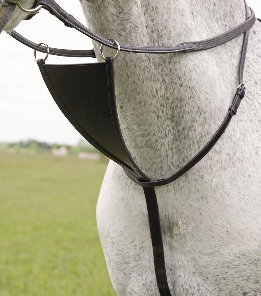 Shires Blenheim Bib Martingale