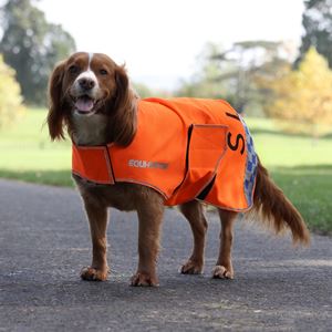 Shires Equi-Flector Mesh Dog Coat (XXXXS - M)
