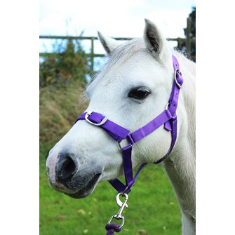 Gallop Headcollar & Leadrope Set (Purple)
