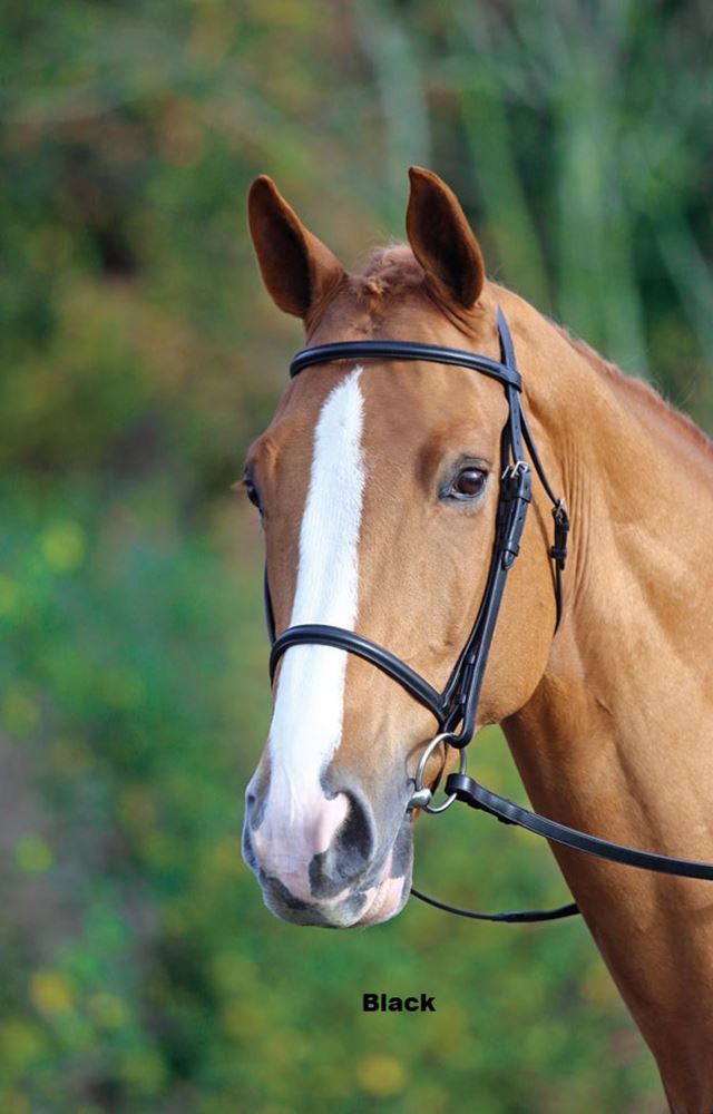 Shires Aviemore Raised Cavesson Bridle