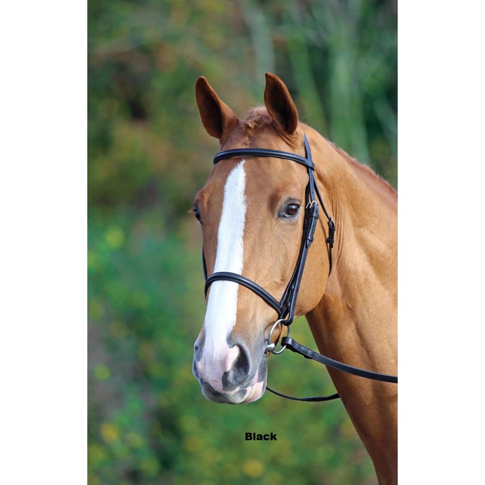 Shires Aviemore Raised Cavesson Bridle