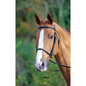 Shires Aviemore Raised Cavesson Bridle