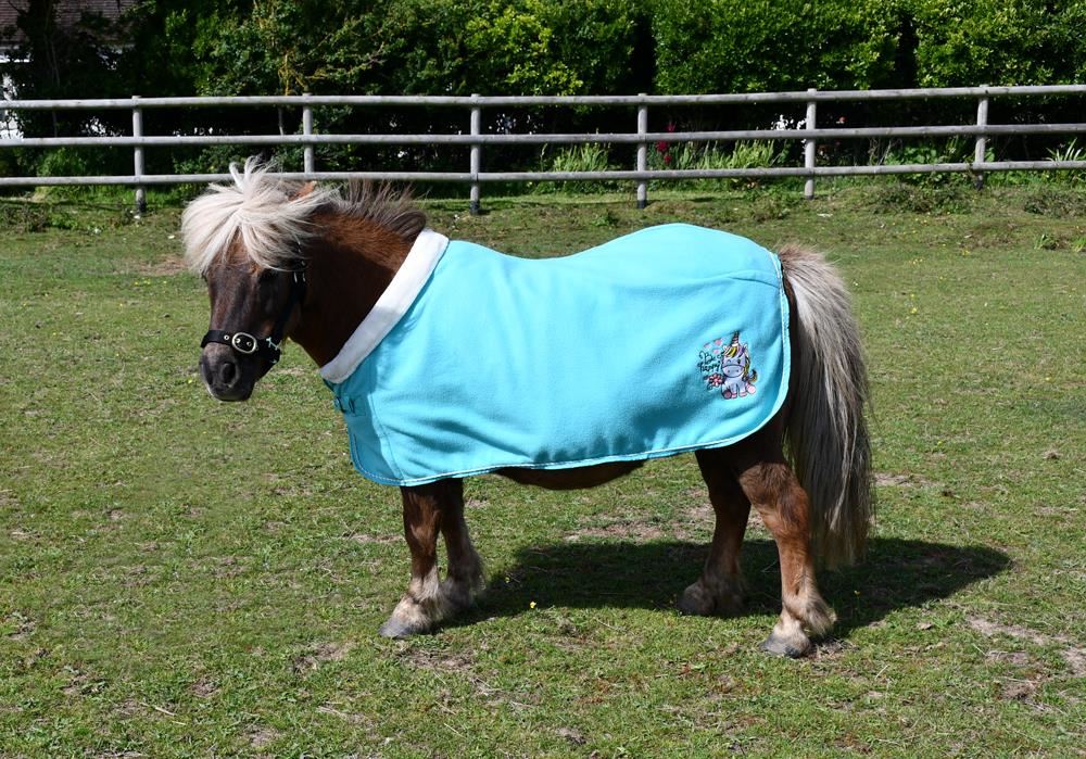 Rhinegold Unicorn Mini Embroidered Fleece Rug (Aqua)