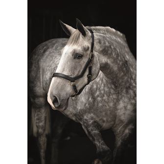 Horseware Rambo Micklem Headcollar (Small Horse - Black) *Clearance*