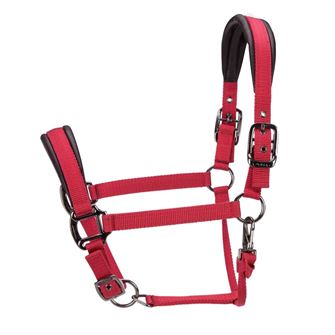 Shires ARMA Pro Padded Headcollar (Red)
