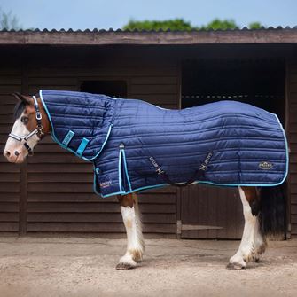 Gallop Trojan 300g Combo Stable Rug (Navy/Sky Bindings)