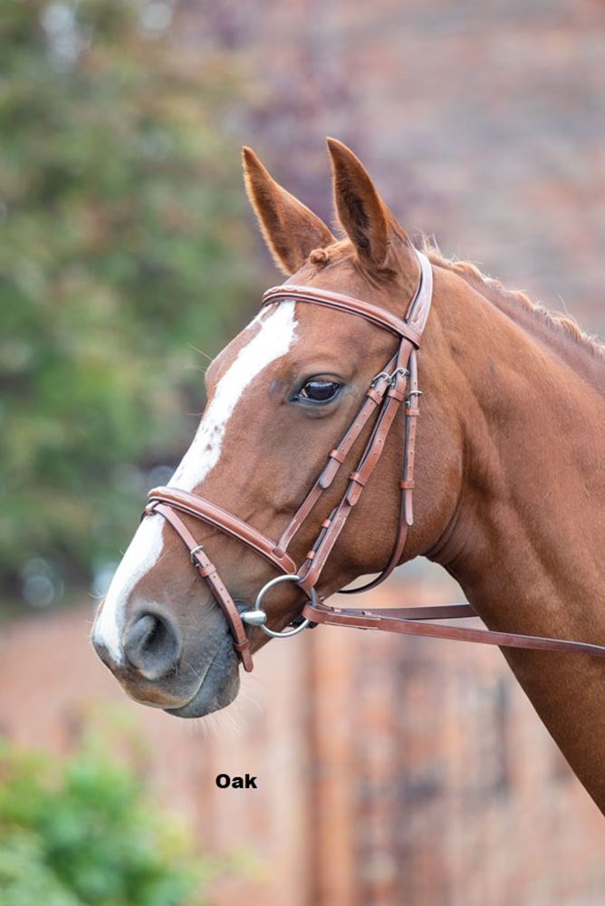 Shires Avignon Padded Raised Flash Bridle