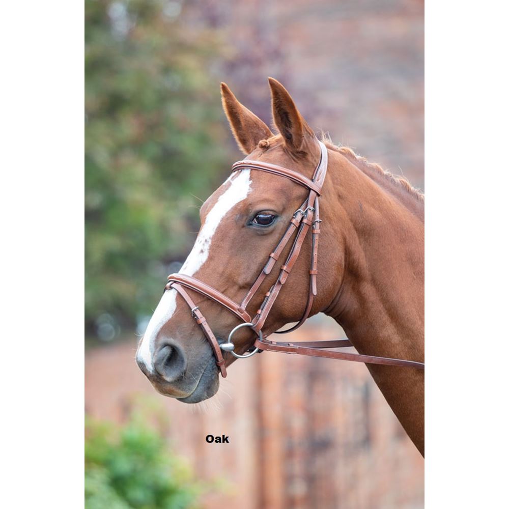 Shires Avignon Padded Raised Flash Bridle