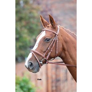 Shires Avignon Padded Raised Flash Bridle