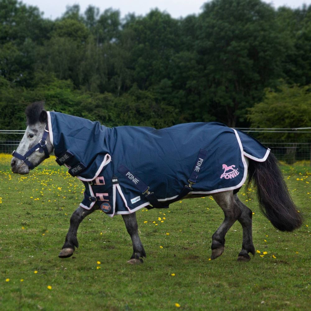 Gallop Ponie Trojan DURAPROOF 50 Turnout Combo Rug (Navy/Pink)