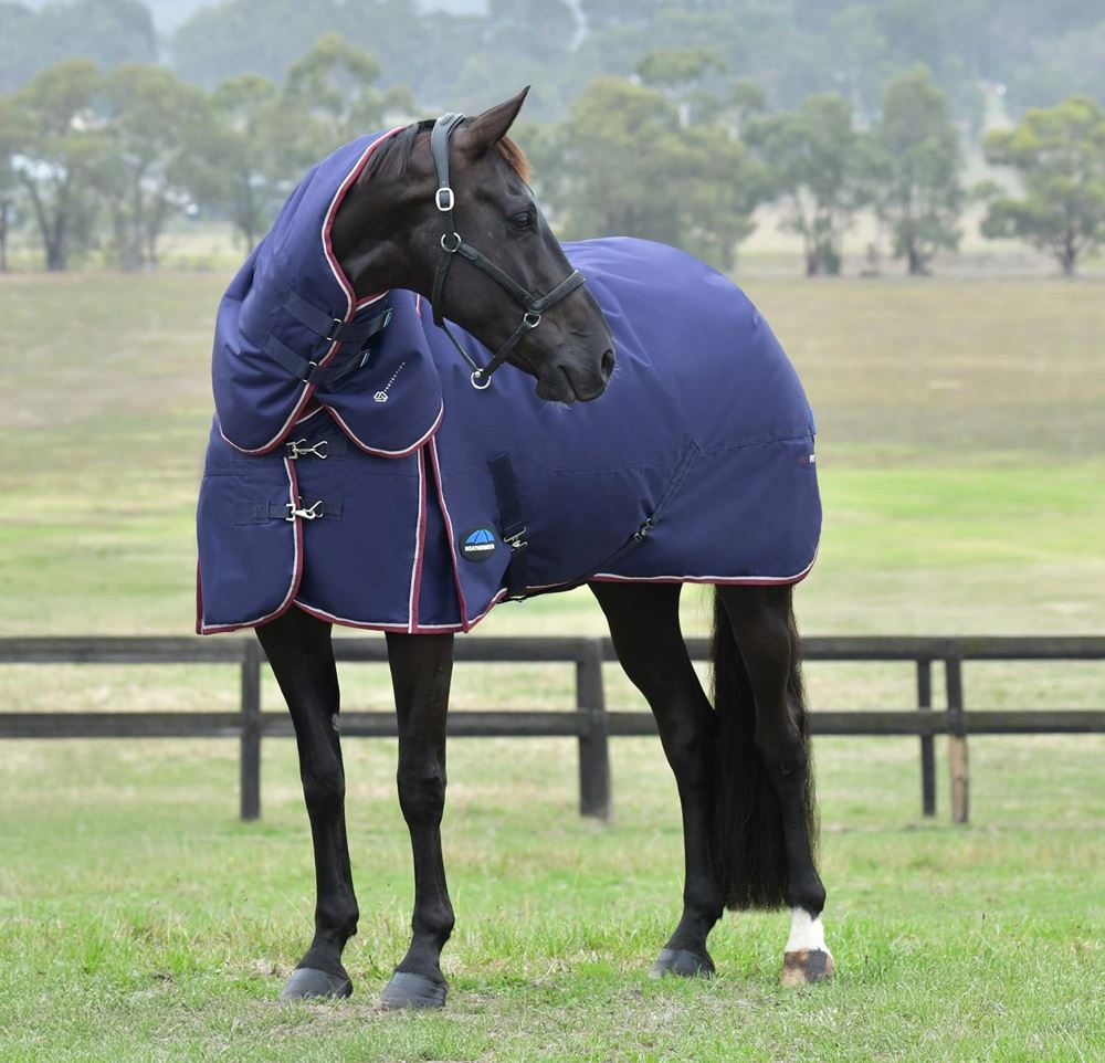 Weatherbeeta Comfitec Essential Turnout Detach-A-Neck - 50g (Navy/Burgundy)