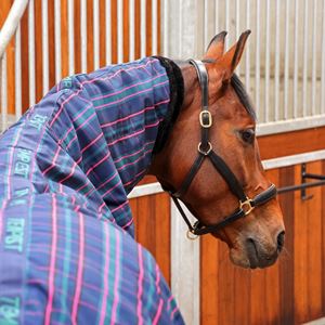 Shires Tempest Plus 100 Stable Combo Rug (Navy Tartan)