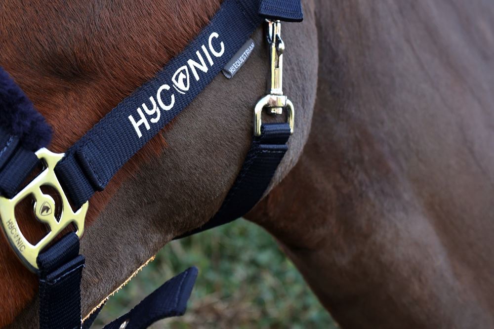 HYCONIC by Hy Equestrian Faux Fur Head Collar & Lead Rope (Navy)