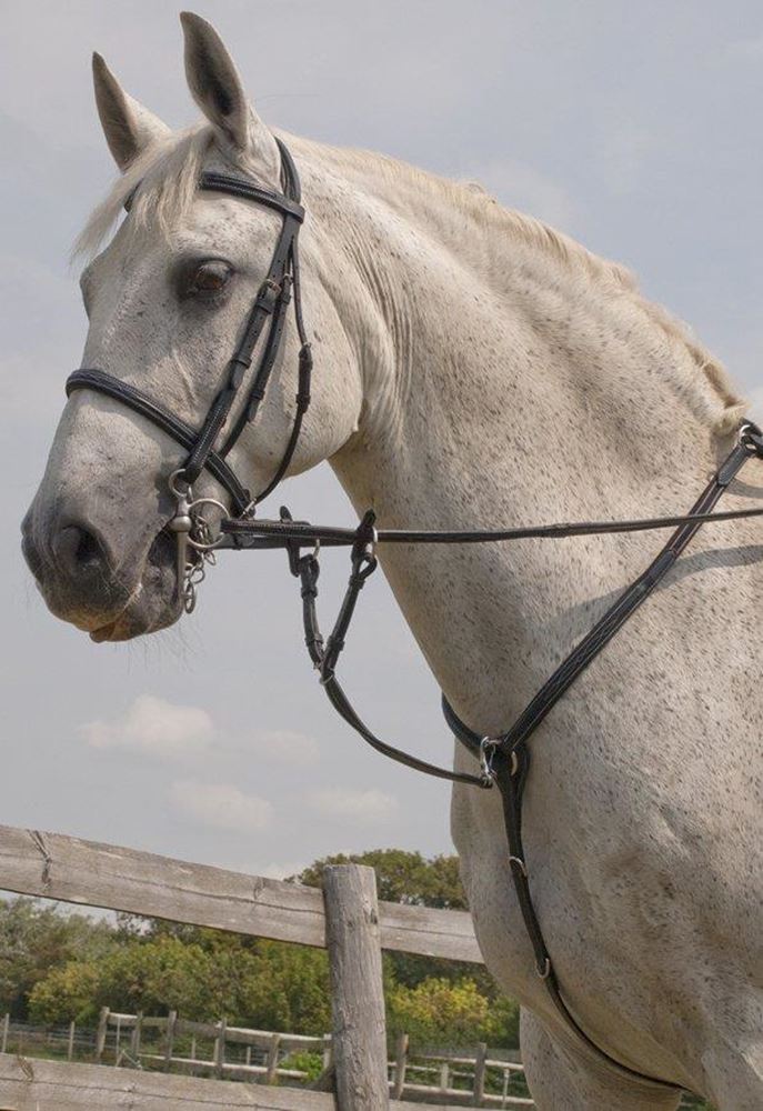 Rhinegold Elegance Leather Fancy Stitched Breastplate