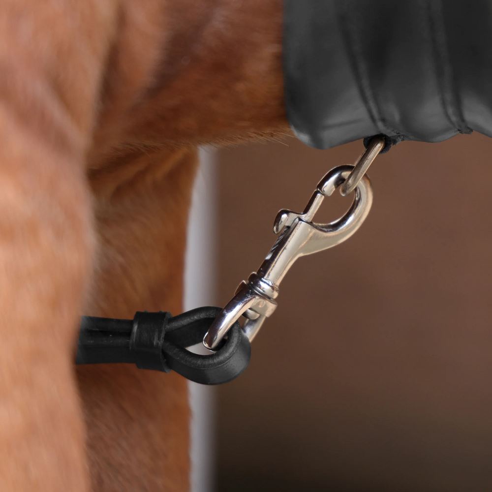 Shires Velociti Rapida Elastic Breastplate (Black)