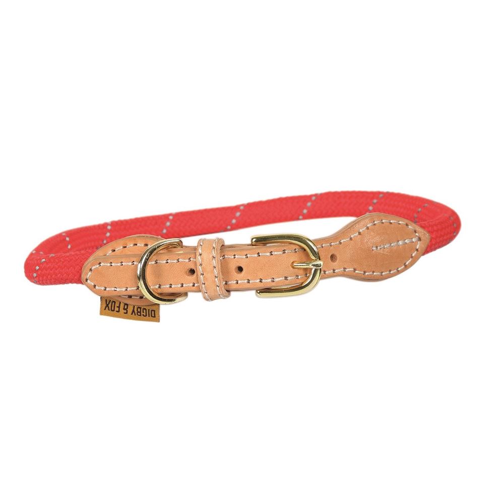 Shires Digby & Fox Reflective Dog Collar