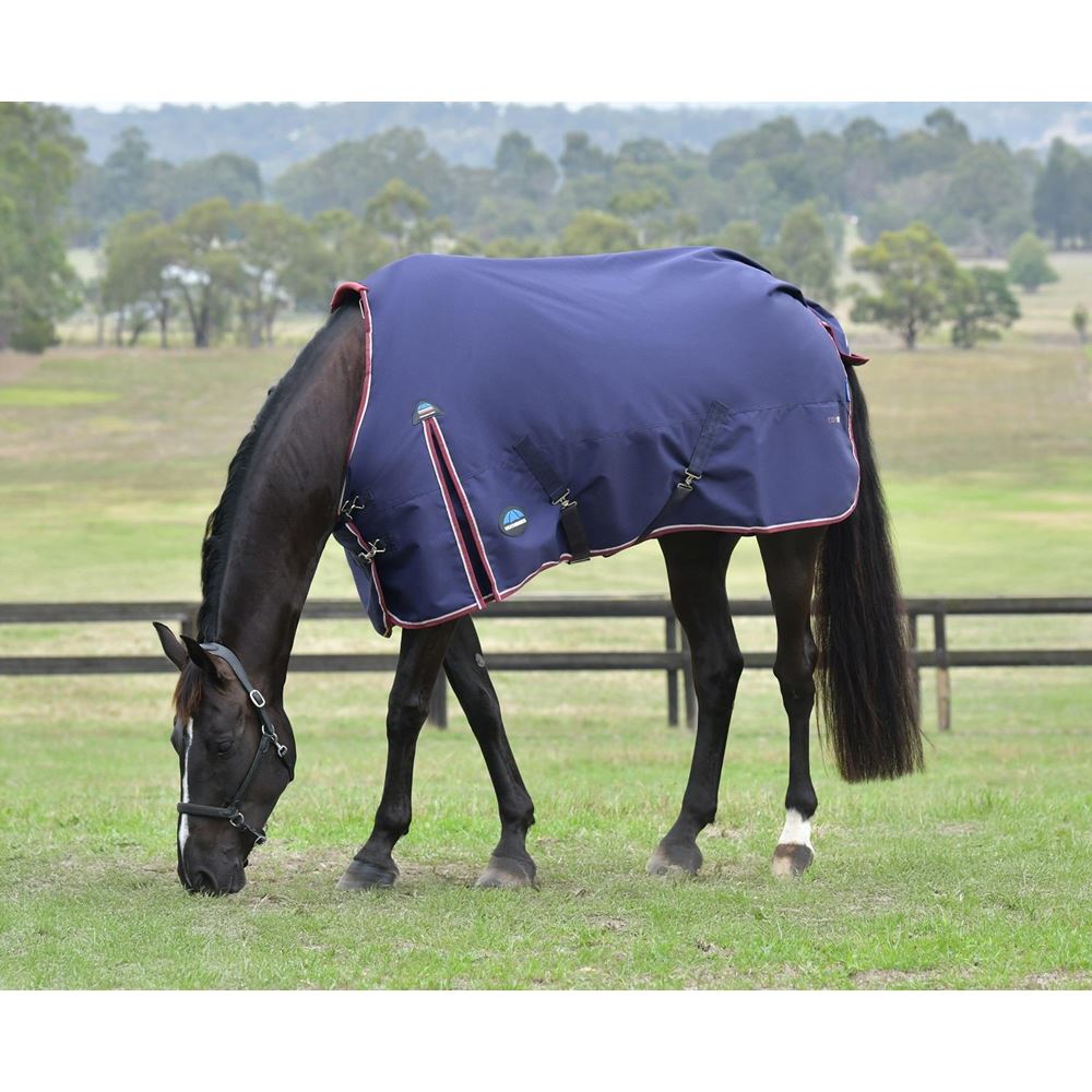 Weatherbeeta Comfitec Essential Turnout Standard Neck - 220g (Navy/Burgundy)