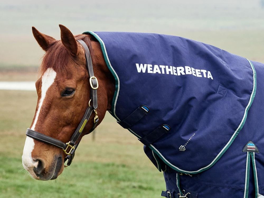 Weatherbeeta Comfitec Plus Dynamic Neck Cover - 220g (Navy/Forest Green)