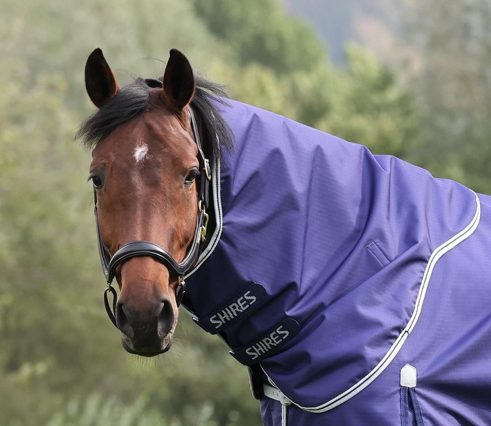 Shires Highlander Original Lite Neck Cover (Navy)
