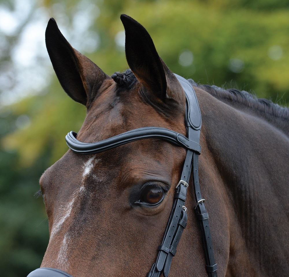 Collegiate Comfitec Vogue Anatomical Bridle