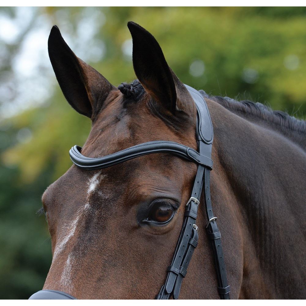 Collegiate Comfitec Vogue Anatomical Bridle