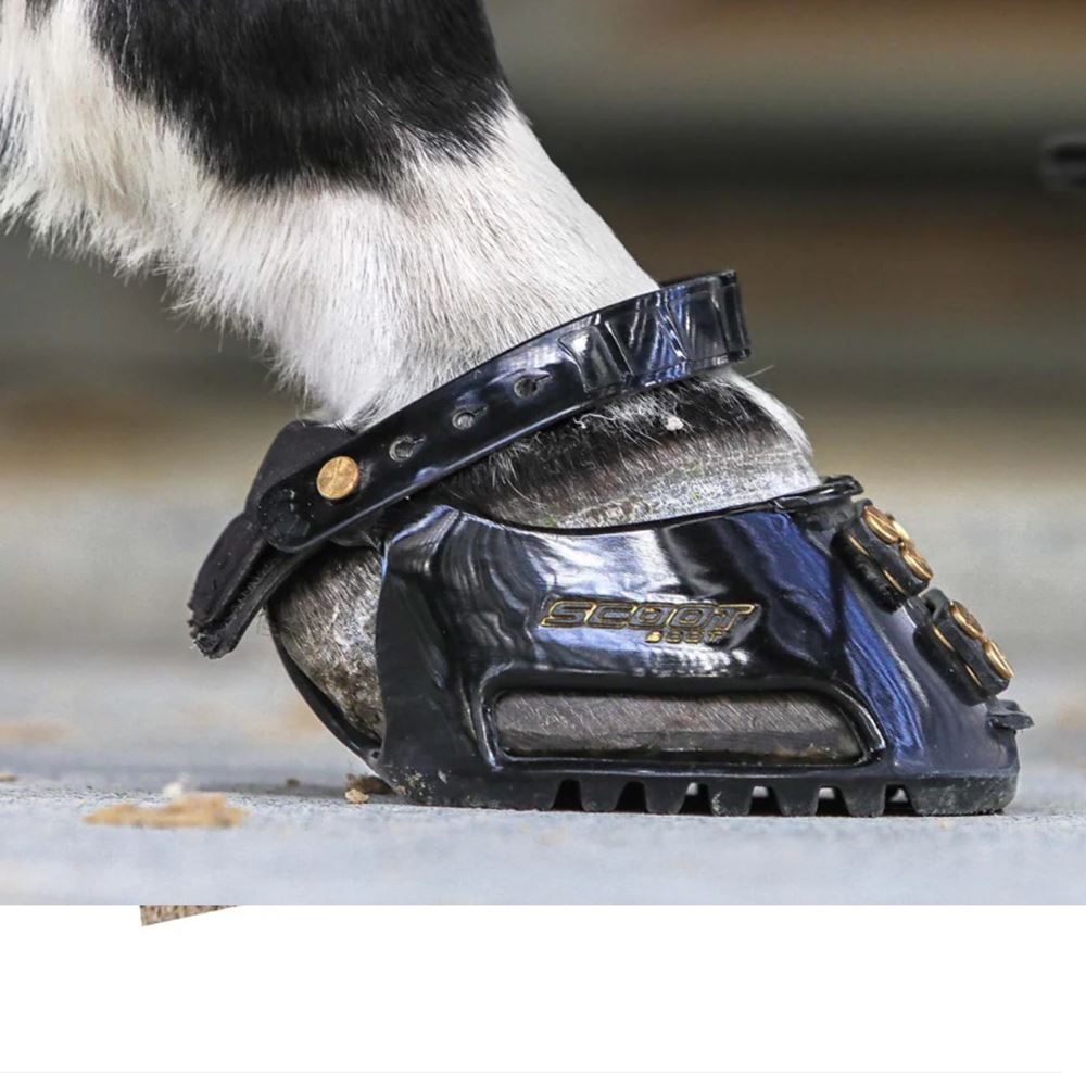Scootboot Classic Regular Hoof Boots (Pair) + Claim FREE Straps and Cap worth £28.98! (See description)