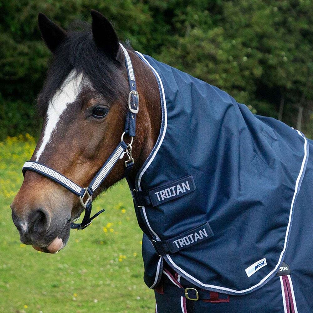 Gallop Trojan DURAPROOF 5 Point Lightweight Neck Cover (Navy)