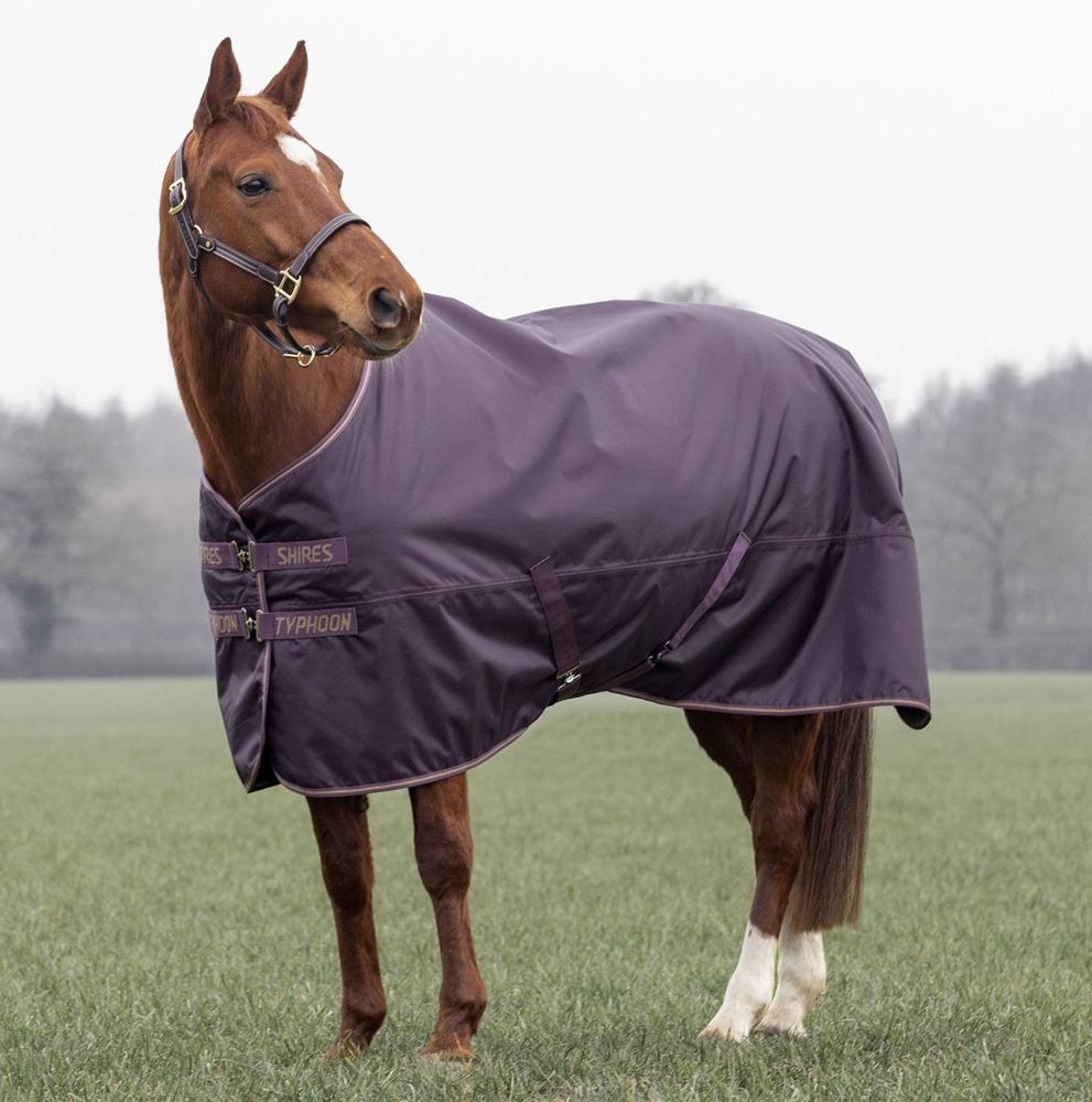 Shires Typhoon 100 Turnout Rug (Black Cherry)