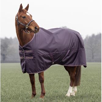 Shires Typhoon 100 Turnout Rug (Black Cherry)