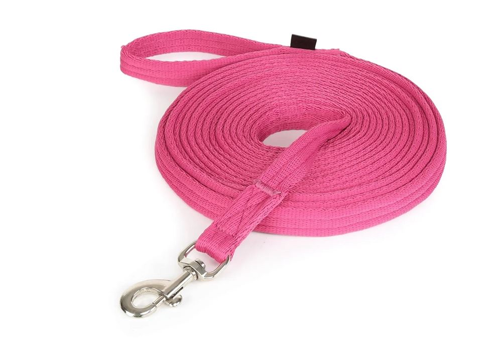 Shires Wessex Cushion Web Lunge Line (Raspberry)