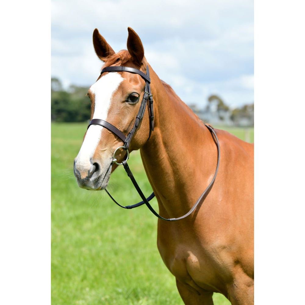 Kincade Classic Flat Hunt Bridle with Reins (Brown)