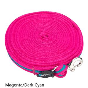 Shires Wessex Two Tone Cushion Web Lunge Line