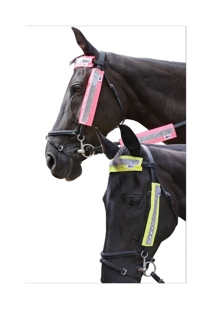HyVIZ Bridle Set