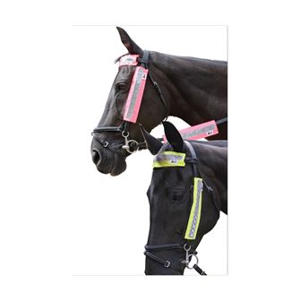 HyVIZ Bridle Set