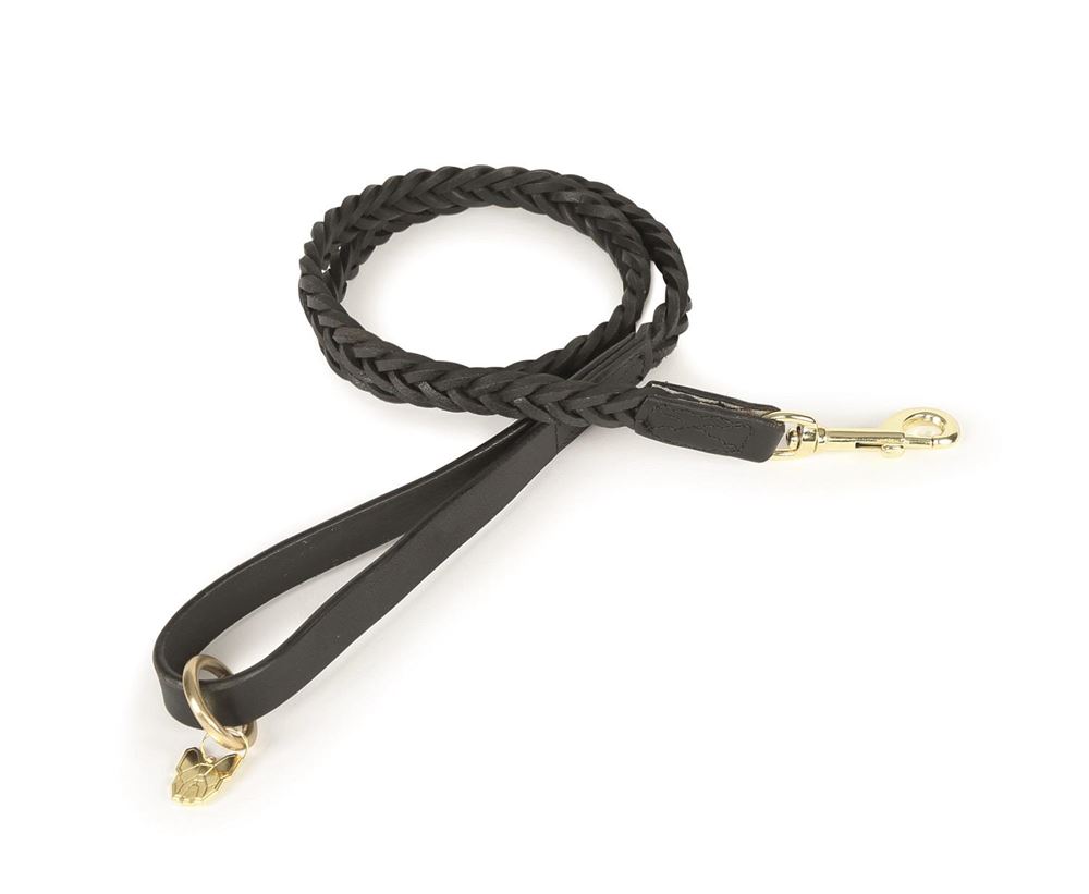 Shires Digby & Fox Plaited Dog Lead